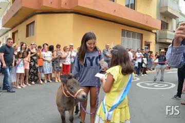 Misa, desfile del ganado y procesión religiosa en el Valle de los Nueve de Telde (Foto Francisco Javier Santana)